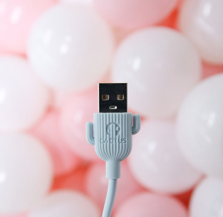 1 Meter Charging Cable